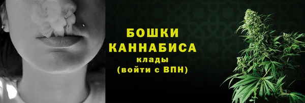 мяу мяу мука Бородино