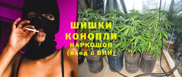 мяу мяу мука Бородино