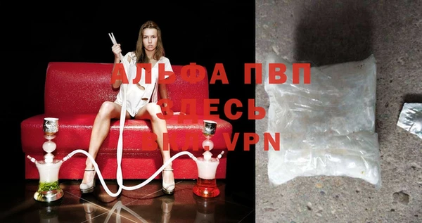 мяу мяу мука Бородино