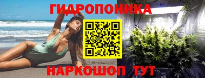 мдпв Нальчик