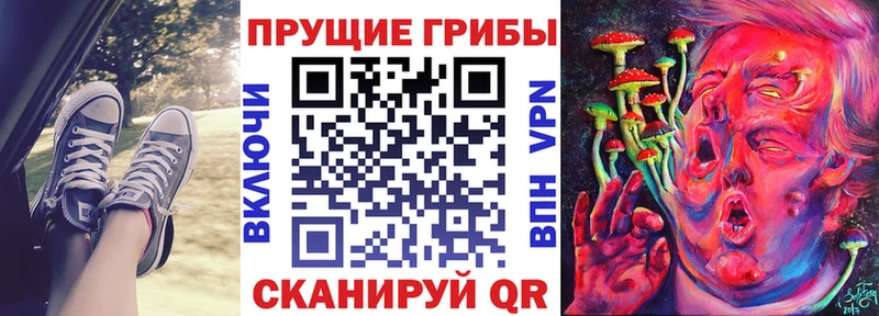 Псилоцибиновые грибы GOLDEN TEACHER  Дальнегорск 