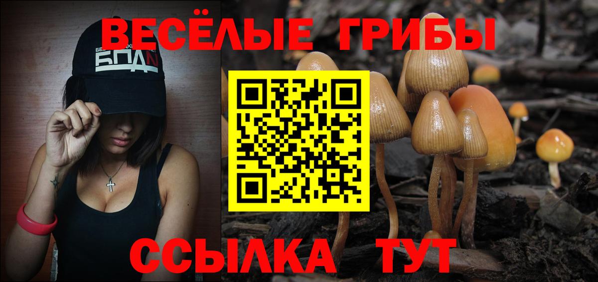 Галлюциногенные грибы Psilocybine cubensis Дальнегорск